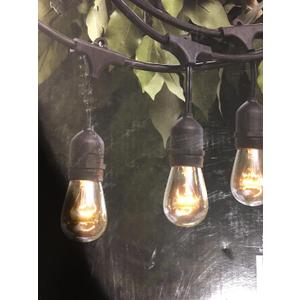 American Lighting RCA-Y American For Pwr Su Y-Connect