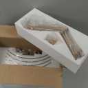 Semi Flush Mount Ceiling Light Fixture,Glass Drum Kitchen Lighting Fixtures Ceiling,18''Gold Modern Light Fixture Chandelier,5-Light Foyer Lighting Fixtures for Living Room Hallway Foyer Porch