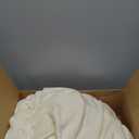 EASELAND Soft Queen Size Blanket Winter Warm Fuzzy Microplush Lightweight Thermal Fleece Blankets for Couch Bed Sofa,90x90 Inches,Ivory