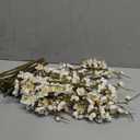 6 PCS Artificial Cherry Blossom Branches Spring Indoor Decoration, Faux Flowers 34.45" Long Stems Plum Fake Peach Plants Real Touch Silk for Wedding Home Bedroom Party Table Office, White