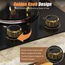 2 Burner Electric Cooktop 110V 2000W Countertop or Built-in