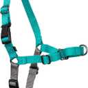 PetSafe Easy Walk No-Pull Dog Harness - Ultimate Harness to Help Stop Pulling - Pull-Free Walks - Take Control & Teach Better Leash Manners - Patented Martingale Loop Design - Teal, Large