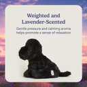 Warmies Black Labrador Microwavable, Hot or Cold for Cool Relaxation and Warm Relief, Lavender Scented Cozy Plush Animal
