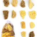 12Pack Natural Sea Sponges for Painting100% Natural & Kid- Friendly| Acrylic Watercolor, Marbling, Texturing, Pottery, Ceramics