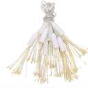 Dandelion String Light, 100 LEDs, 10 Dandelion Bundles, USB Powered, 8 Modes with Remote Control Fairy Lights for Christmas Decorations (Warm White)