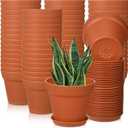 Mumufy 54 Pack 4 Inch Plant Pots Bulk Small Planter with Drainage Hole and Saucer Small Plastic Pots for Flowers Succulent Cactus and All House Indoor(Terracotta)