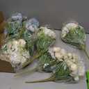 Tigeen 12 Bundles Peonies Artificial Flowers Faux Roses Silk Flowers Hydrangea Artificial Bouquet for Wedding Table Centerpiece Floral Vase Home Office Bridal Decor (Champagne White,Blue)