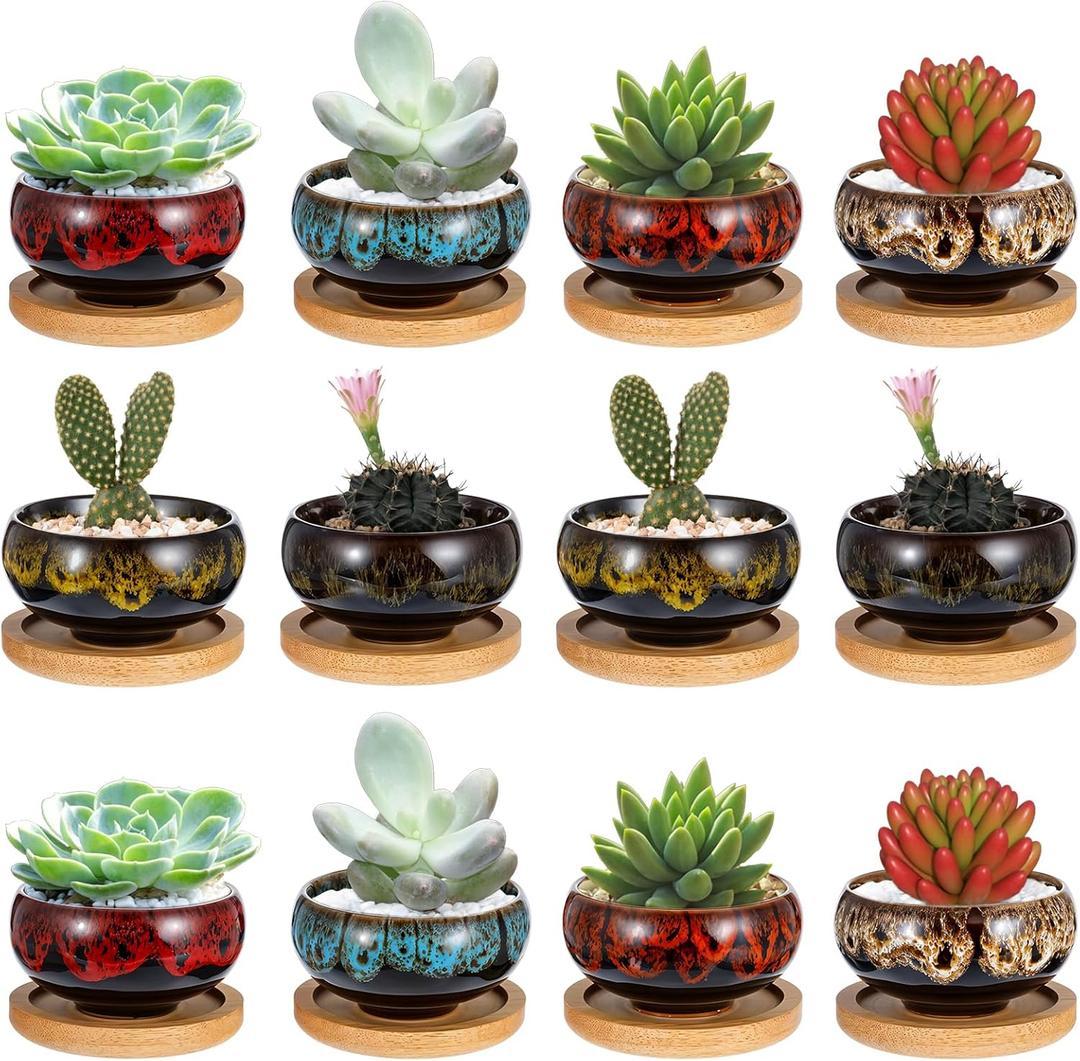 12 Pcs Ceramic Succulent Garden Pots Succulent Small Plant Cactus Planter Ceramic Pot with Drainage Hole and Bamboo Tray Matte Round Container (2.5 Inch)