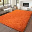 Dssimo 5'x7' Super Fluffy Rug for Bedroom, Modern Shag Orange Area Rugs, Soft and Cozy Plush Large Carpet for Kids, Girls Boys and Teens Decorations for Living Room Dorm Nursery Classroom, Orange