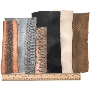 Snake Skin Snakeskin Pieces; Grab Bag! Assorted Colors, 72 inches