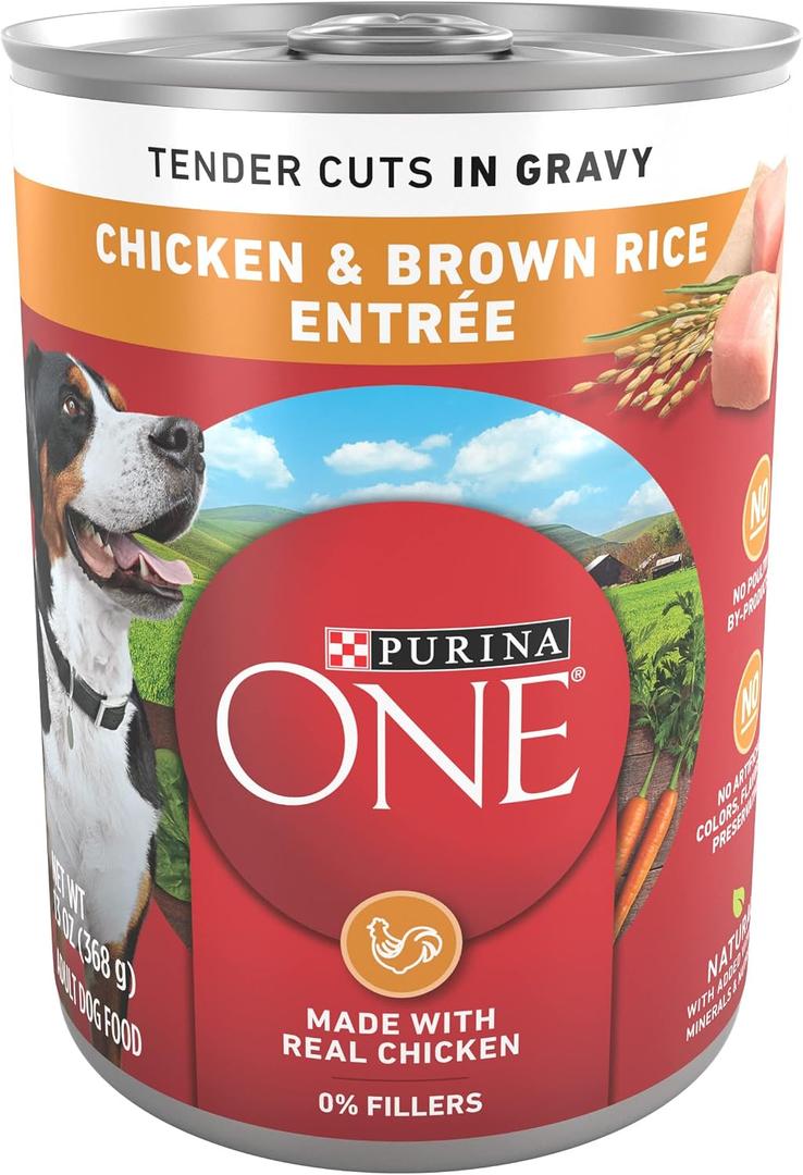 Purina ONE Natural High Protein Dog Food, Tender Cuts in Gravy Chicken and Brown Rice Entre - 13 Ounce (Pack of 12) (EXP 04/30/28)