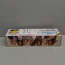 Shark Glossi 2in1 Hot Tool and Air Glosser | UltraFast, UltraGlossy Blowouts atHome | HeatControlled Ceramic, Curly, Coily, and Color Friendly | Lychee | HT302PK