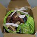 COMIN Inflatable Green Dinosaur Costume Riding T Rex Air Blow up Funny Party Halloween Costume for Men/Women