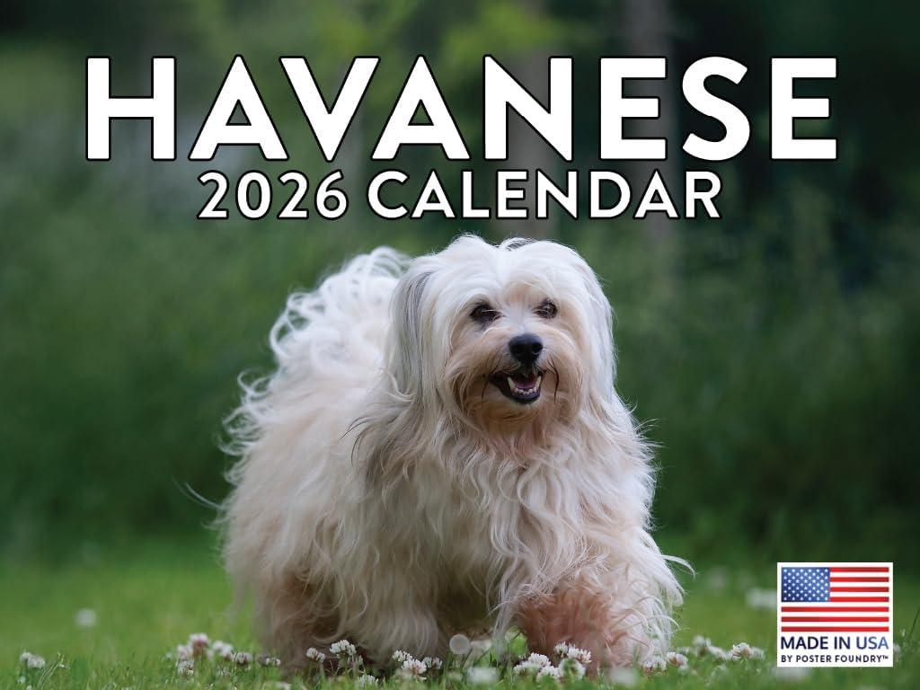 Havanese Calendar 2026 Wall 12 Month Monthly Havaneses Gifts For Havanese Lovers Women Men Mom Dad | American Made In The USA
