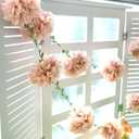 Pink Tissue Paper Pom Pom Garlands, Paper Flowers for Birthday Decorations, Baby Shower, Wedding Engagement, Bridal Shower, Spring Summer Party Decorations, 2 Pcs