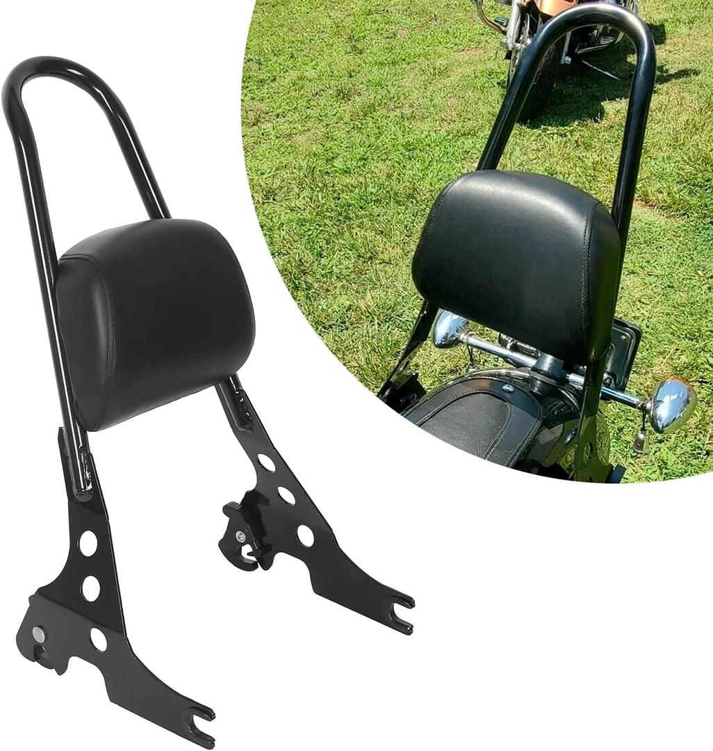 ECOTRIC Detachable Sissy Bar Passenger Backrest Compatible with 2004-Up Harley Sportster XL883C 883R XL1200R 1200C 1200S XLH883 XLH1200 Motorcycle Backrest W/Cushion Pad
