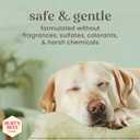 Burts Bees for Pets Manuka Honey Tearless 2 in 1 Shampoo and Conditioner for Puppies with Jojoba Oil, 16 Fl Oz