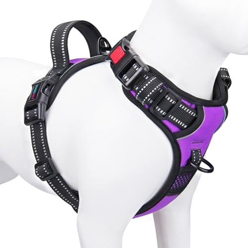 Amazon.com : PHOEPET No Pull Dog Harnesses for Small Dogs Reflective Adjustable Front Clip Vest with Handle 2 Metal Rings 3 Buckles [Easy to Put on & Take Off](S, Purple) : Pet Supplies