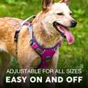 Embark Adventure Dog Harness, Reflective Trim No Pull Dog Harness Medium Sized Dogs - Military Grade Nylon, Front Clip with Gel Lined Handle.