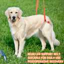 Mixweer 2 Pcs Dog Support Harness for Back Legs Dog Rear Lifting Sling Aid with Handle and Shoulder Strap Hind Leg Support for Pet Mobility Helps Puppy with Poor Stability Joint Injuries(Orange)