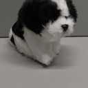 Bearington Dog Stuffed Animal - Puppy Realistic Stuffed Animals - Plush Dog Toys for Kids Shih Tzu - Butch 11 Inch