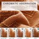 BOURINA Almond Throw Blanket 50x60 Inches Throw Textured Solid Soft Sofa Couch Decorative Knit Blanket