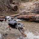 Adventure Backpack - Pink - XL