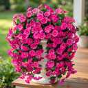 Ouddy Decor 3 Pcs Artificial Hanging Flowers for Outdoors, Fake Silk Hanging Plants Faux Morning Glory UV Resistant for Outdoor Indoor Garden Planter Porch Patio Yard Balcony Home Decor, Fuchsia