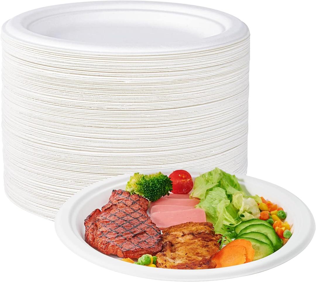 White Plastic Plates - Heavy Duty White Disposable Plates for New Year Party/Wedding