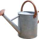 Metal Watering Can 1 Gallon for Outdoor Garden Plants, Zinc Watering Cans Stainless Steel Handhold with Removable Spout,Galvanized Watering Can for Patio, and Houseplants