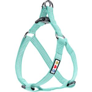 Pawtitas Dog Harness Small Sized Dog Teal Dog Harness Step in from a Senior Dog to a Puppy Harness Adjustable Reflective Dog Harness S Reflective Dog Vest, S