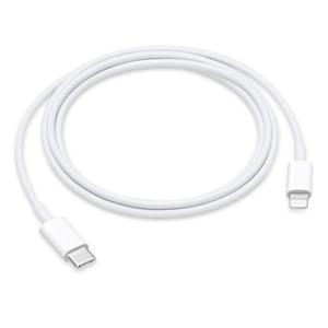iPhone Charger