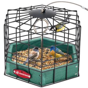 Kingsyard Squirrel Proof Platform Bird Feeders for Outdoor Hanging, 10" Wide Metal Caged Bird Feeder for Small Wildbirds Finches, Recycled Plastic Feeding Platform with Metal Seed Tray, Green