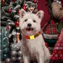 Lionheart glory Christmas Plaid Dog Collar, Dogs Collar Adjustable Soft and Comfortable Collars for Large Dogs Girl or Boy Pet Gift Fall Collar Dog (Large (Pack of 1)