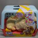 Little Live Pets Ouchies Cooper The Retriever Puppy, 50+ Sounds, Limping to Walking Puppy Toy with Vet Carrier, Interactive Toy Dog for Kids Ages 5+