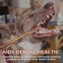 Bully Bunches Premium 12 Inch Standard Odor Free Bully Sticks for Small & Medium Dogs - Consistently Sized, Long Lasting Chews for Oral Care - All Natural Beef Dog Treats, (5 Pk)