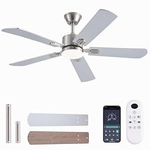 FUMLTP 52inch Ceiling Fans with Lights and Remote/ App Control, Double-Side Blades, Dimmable LED, Reversible DC Motor, Noiseless, Modern Low Profile Ceiling Fan for Indoor/ Outdoor Use (Nickel)
