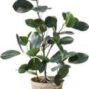 SAROSORA Artificial Ficus Tree Small Fake Plants in Weaved Pot 20" Height for Living Room Desktop Decor Indoor Home Office Ins Style (Green, 1)