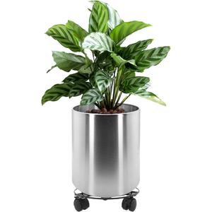 Longrun 11.8 Inch Dia Round Planter, Modern Indoor Outdoor Large Stainless Steel Plant Pot and Plant Caddy with Wheels for Home Patio Garden, Easy to Clean and Move, 11.81inch