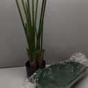Artificial Bird of Paradise Plant 28, 18 Trunks, Faux Palm Tree in Pot for Indoor/Outdoor Dcor (Green)