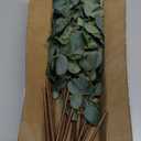 Artificial Eucalyptus Greenery Stems Frequently for Home Decor