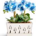 BUYMAX 10 Inch Rectangle Ceramic Orchid Pots with Holes, Heavy Duty Handmade Ceramic Plant Pot with Drainage and Saucer, Accommodate 2 Orchids, Enhance Good Ventilation White