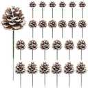Meching 24 Pieces Christmas Pine Cones Decorations, Various Sizes Natural Pine Cones Snow Tipped with Wired Picks White Craft, Pinecones for Xmas Tree Garland Wreath Ornaments Decorating (Snow)