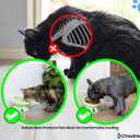 Ceramic Slow Feeder Bowl, Elevated CAT & Dog Slow Feeder, Wide-Mouth, PAW Design, Stylish Design, for Fast Eaters, Non Slip, Pets, Small & Medium Sized Breeds, (Green)