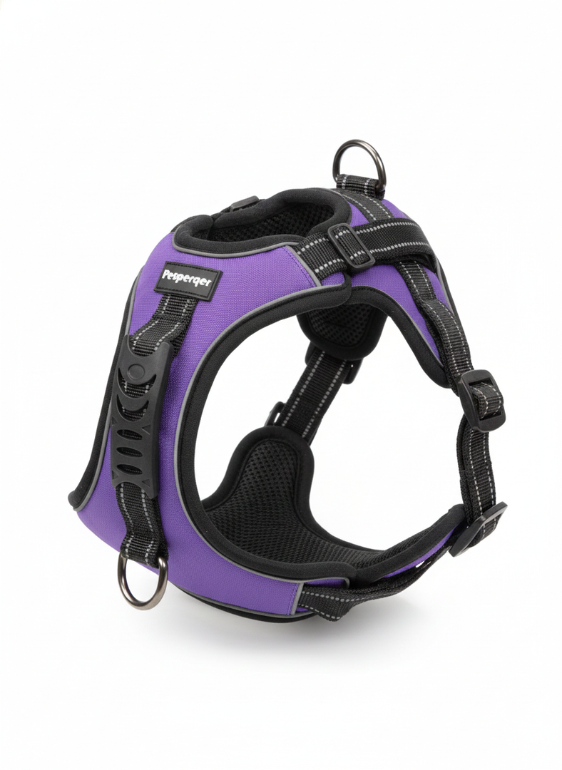 Perperqer Dog Harness, No-Pull Pet Harness with 2 Leash Clips, Adjustable Soft Padded Dog Vest, Reflective No-Choke Pet Oxford Vest with Easy Control Handle for Large Dogs, Purple, L