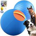 Happypaw 25'' Herding Ball for Dogs – Enhanced Chew Resistance1111