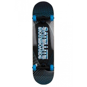 Standard Skateboards Gift 31 Inch Complete Skateboard Wood 9 Layer Canadian Maple Trick Skate Boards for Boys Girls Youth Teens Beginner