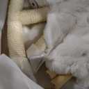 Modern Cat Tree 62" Tall, Cat Tower for Multiple Small Large Cats with Scratching Post, Multi-Level Luxury Aesthetic Cat Condo