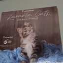 Turner Licensing, Rachael Hale Loveable Cats 2026 Wall Calendar