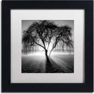 Framed Wall Art - Moises Levy 'Lightning Tree I' Wall Decor with Matted Frame by Trademark Fine Art, 11"L x 11"W